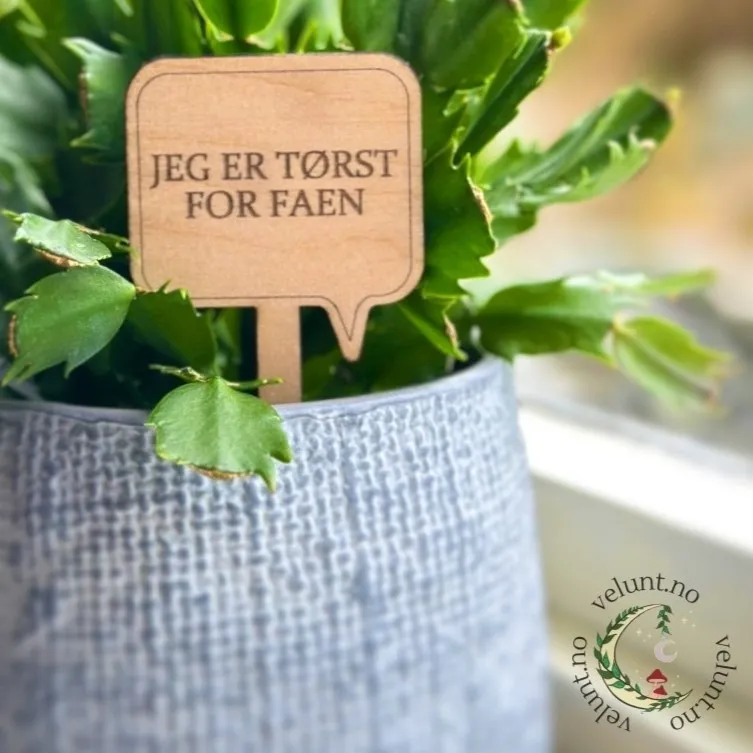 Humor (litt på kanten)
