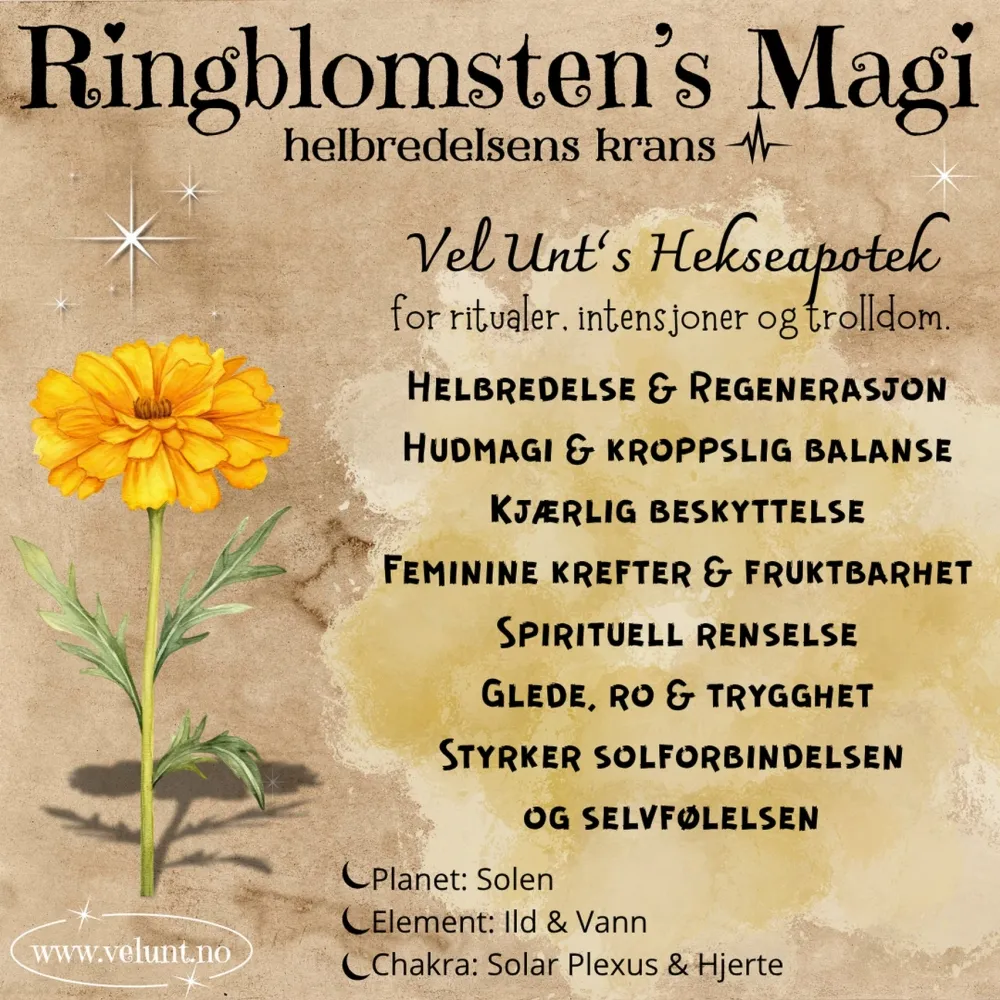 Produktbilde 2
