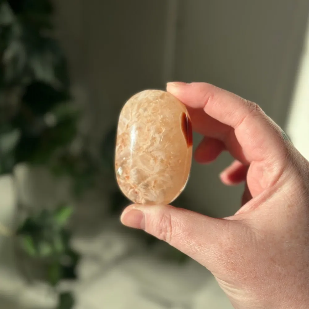 Produktbilde 2