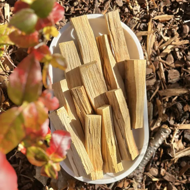 Palo Santo Pinne - Holy Wood (11-24g)