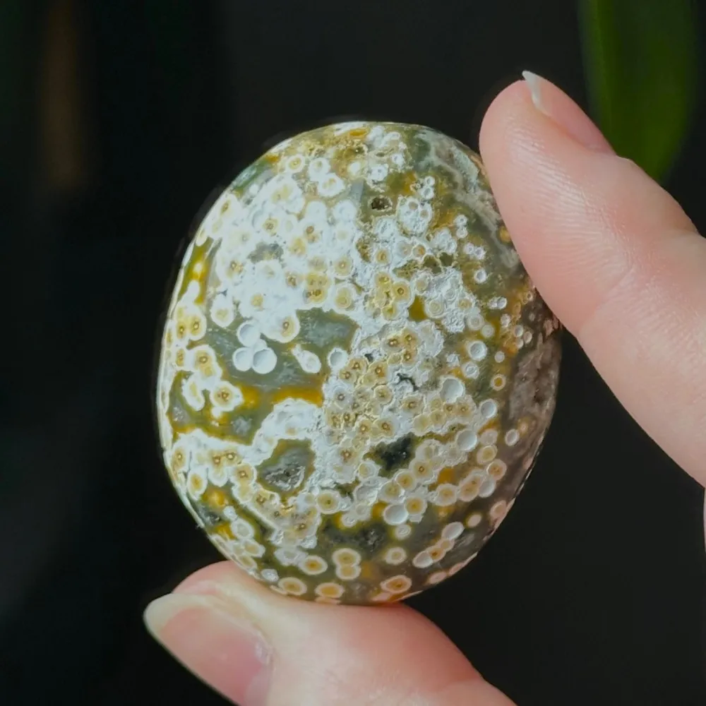 Produktbilde 5
